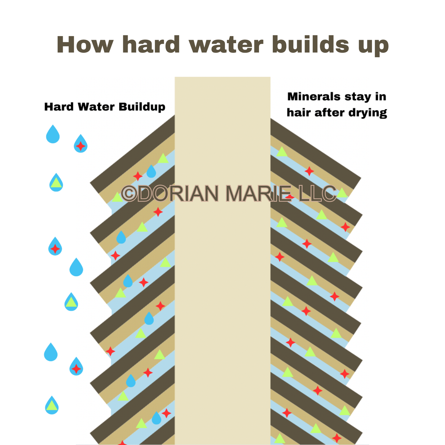 Hard Water Shower Filter